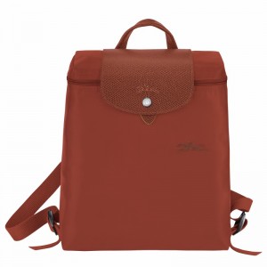 Longchamp Le Pliage Green M Erkek Sırt Çantası Kahverengi Türkiye | L1699919404-