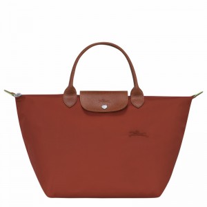 Longchamp Le Pliage Green M Kadın El Çantası Kahverengi Türkiye | L1623919404