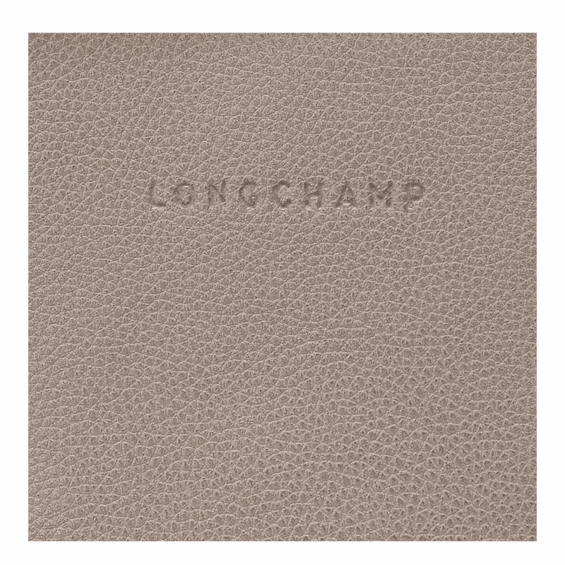 Longchamp Le FOULONNÉ Kadın Sırt Çantası Gri Türkiye | 10195021P55