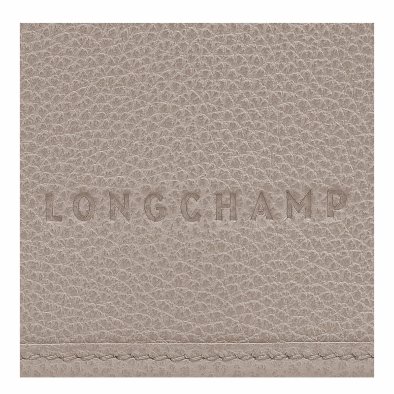 Longchamp Le FOULONNÉ XS Kadın Clutch Gri Türkiye | 10133021P55